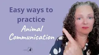 10 easy ways to practice Animal Communication