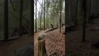 castlegar b.c #bikes #mtb #mtbbc #kona #tld #process #brap