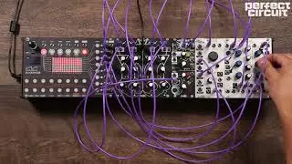 Make Noise QMMG (Quad Multi Mode Gate) Eurorack Four Channel LPG VCA VCF