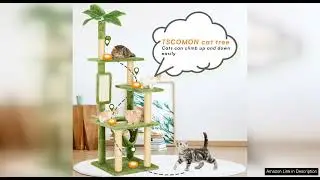 TSCOMON 55