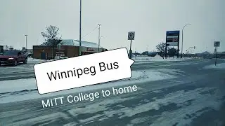 Winnipeg Bus | MITT College to home | Student life Canada