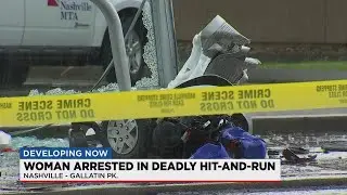 Driver charged in fatal hit-and-run crash in Madison