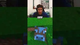 Tota Felt Bad After He Hit A Cow In Minecraft! 💔🥹
