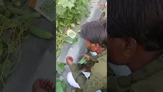 FTS Crop Science (4)
