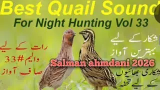 Quail sound for night volume nombir 33