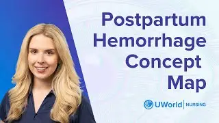 Концептуальная карта послеродового кровотечения LIVE