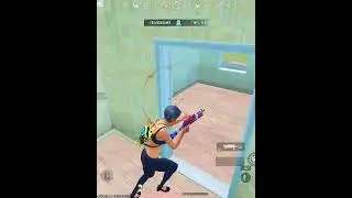 Bizon