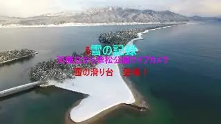 2026年1月25日雪の記録映像