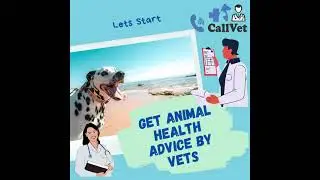 Get Animal Health Advice by CALLVET Team | 03029203204