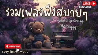 Live Cozy Beats Music 03-02-2026