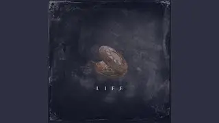 Life (feat. A9904)