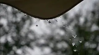Handpan & Orchestra (Shakuhachi, Flute, Viola/in, Cello, Sax, Clarinet,  Tenorhorn, Trumpet, Djembe)