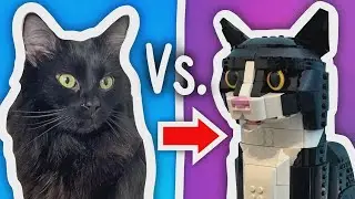 Desafio: Gatos x LEGO! Quem leva a melhor?