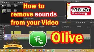 removing sound from a video clip
