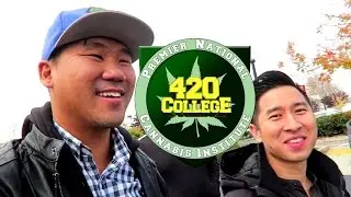 420 COLLEGE - Learning about a Compliant Cannabis Business after Prop 64