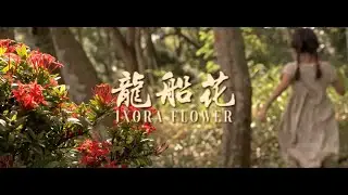 Temasek Polytechnic - Digital Film & Television Trailer (2020)