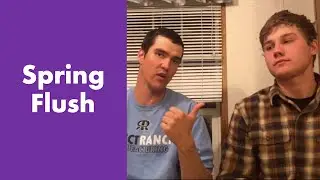 How to manage the SPRING FLUSH