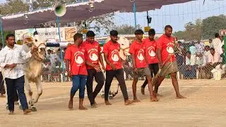 రెంటచింతల రెండుపళ్ళు.12వ జత మేడిశెట్టి వెంకటేశ్వరరావు గారు ఆయనపూరు గ్రామం.