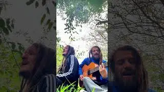 STOP THAT TRAIN 2 #reggae #positivevibes #reggaemusic #drums #bass