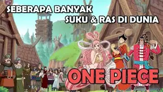 SEBERAPA BANYAK KIRA- KIRA SUKU DAN RAS DI DUNIA ONE PIECE ?