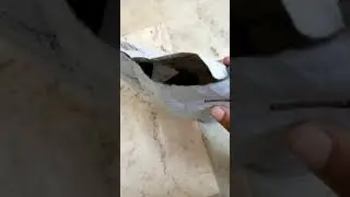 Amazon scam 2021 caught live (fraud)