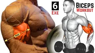 Best Biceps Workout in Gym | Most Effective Biceps Exercises