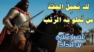 لا يحمل الحقد من تعلو به الرتب.. عنترة بن شداد