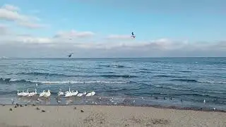Прогулки в декабре 2