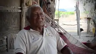 Aküjalaa jüchiki wane olojo / Una historia de cacería