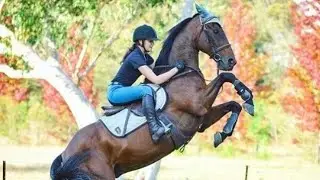 Horse Falls & Fails (37)