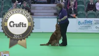 Inter-Regional Rally Obedience Highlights | Crufts 2017