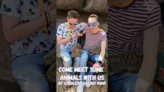 Come meet some animals with us at Longleat Safari Park!  #longleatsafaripark #animalexperience #zoo