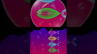 Nintendo DSIWare Gameplay [018] Electroplankton: Rec-Rec