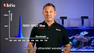 Iluminador Para Acuario Marino Red Sea Reef Led 90 - Audio en Espa&ntilde;ol &iexcl;Disponible en Argentina!
