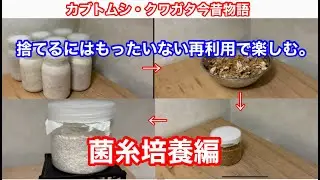 捨てるのはもったいない再利用で楽しむ菌糸培養編