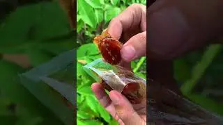 Review kurma arab dengan kurma indonesia #kurmaarab #kurmaindonesia