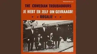 Je Hebt Er Zelf Om Gevraagd