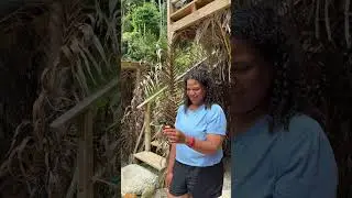 TOURS IN TOBAGO  🇹🇹Alancharles1985@iCloud.com