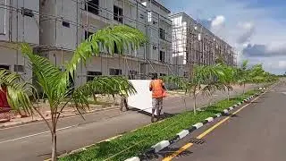 Behind the Scene: Polystyrene Ceiling Design Job