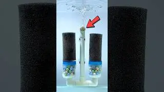 DIY Aquarium Double Sponge Filter That Works Wonders!
