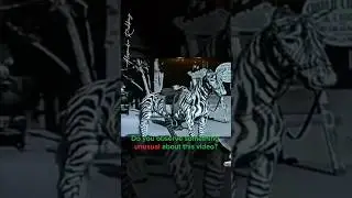 Viral Mystery Time Travel Video on Internet (Explained) #facts #how #shorts #highlights