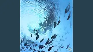 Safe Harbor