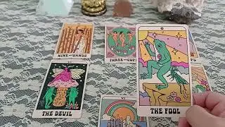 Gemini ♊️   Early February 2026 Tarot Update