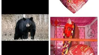 #chandi mata mandir bagbahra aarti #mata aarti full #chandi mata aarti #video #shotsfeed #viralvideo