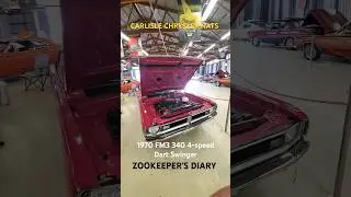 PANTHER PINK 1970 Dodge Dart SWINGER 340 4 Speed Carlisle CHRYSLER NATS Hi Impact Paint Display