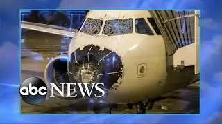 American Airlines Flight Forced to Land After Potential Bird Strike