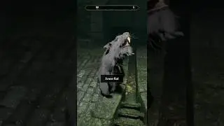 Don't kill this innocent Rat! - Oblivion Remastered