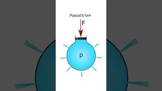 explain what is Pascal law || Pascal law || Pascal principle #shorts #pascallaw #pascal