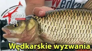 Wędkarskie wyzwania #120 | film wędkarski | spinning