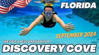 &pound;107 for a day at Discovery Cove Orlando WALT DISNEY WORLD VLOGS SEPT 2024 Florida